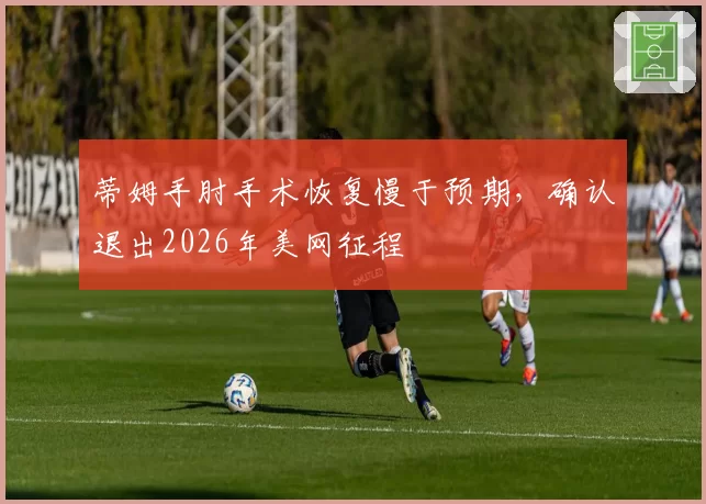 蒂姆手肘手术恢复慢于预期，确认退出2026年美网征程