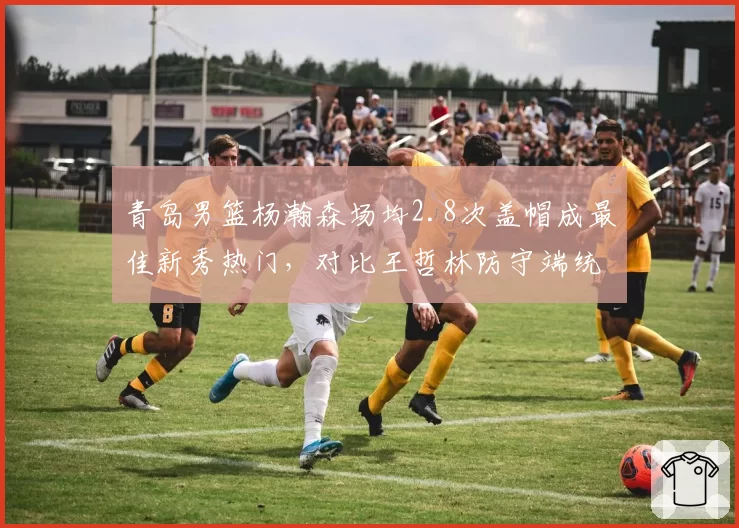 青岛男篮杨瀚森场均2.8次盖帽成最佳新秀热门,对比王哲林防守端统治力差距
