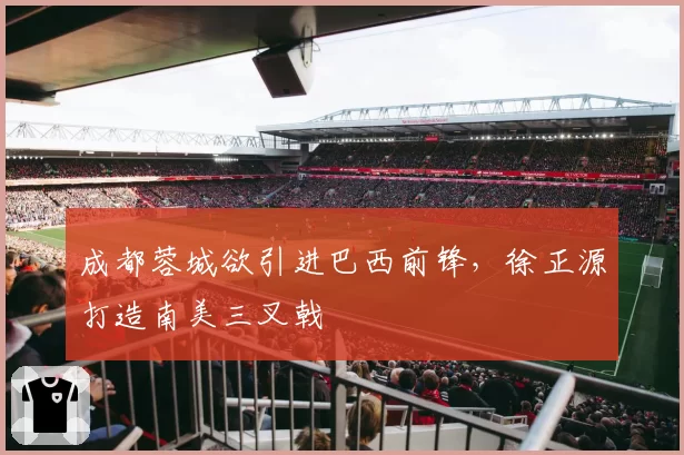成都蓉城欲引进巴西前锋,徐正源打造南美三叉戟