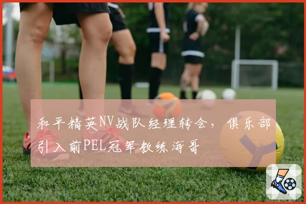 和平精英NV战队经理转会,俱乐部引入前PEL冠军教练海哥
