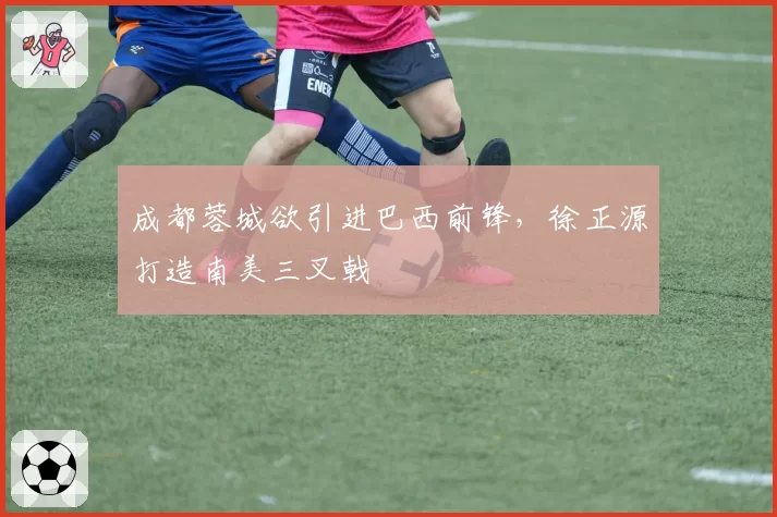 成都蓉城欲引进巴西前锋,徐正源打造南美三叉戟